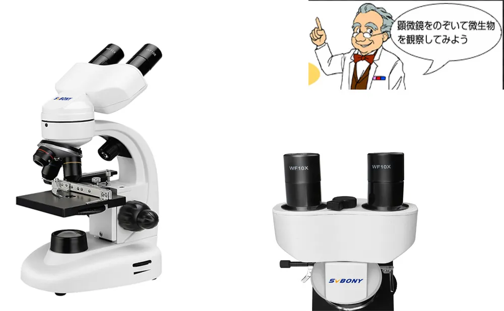 初めての双眼実体顕微鏡