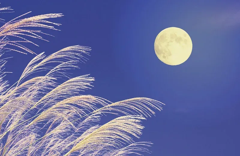 2022年9月10日  中秋の名月