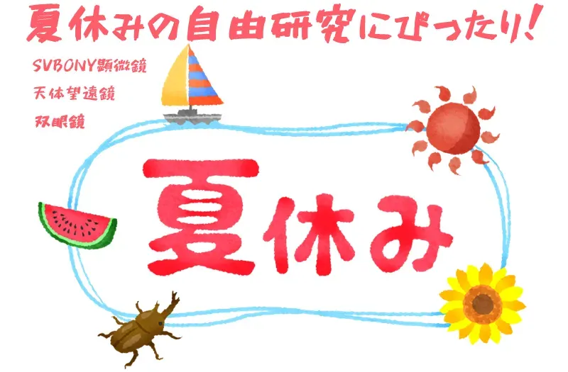 夏休みの自由研究にぴったり