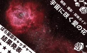 【結果発表】ばら星雲キャッチャー！& 宇宙に咲くロマンチックな花——バラ星雲の観測、撮影、探検ガイド