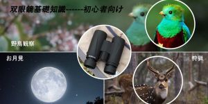 双眼鏡の基礎知識---初心者向け