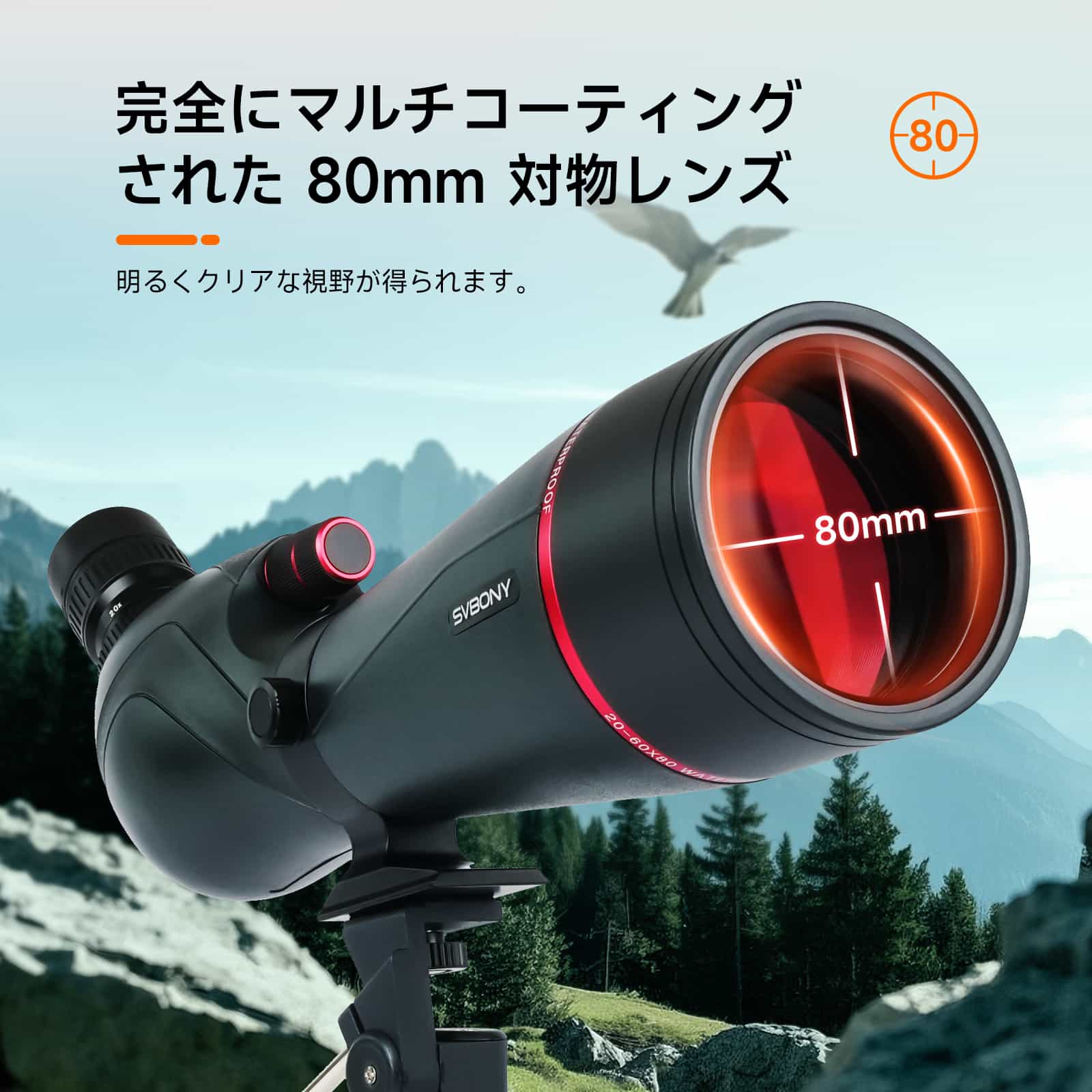 日本野鳥の会おすすめフィルードスコープ 野鳥・自然観察にオススメ 