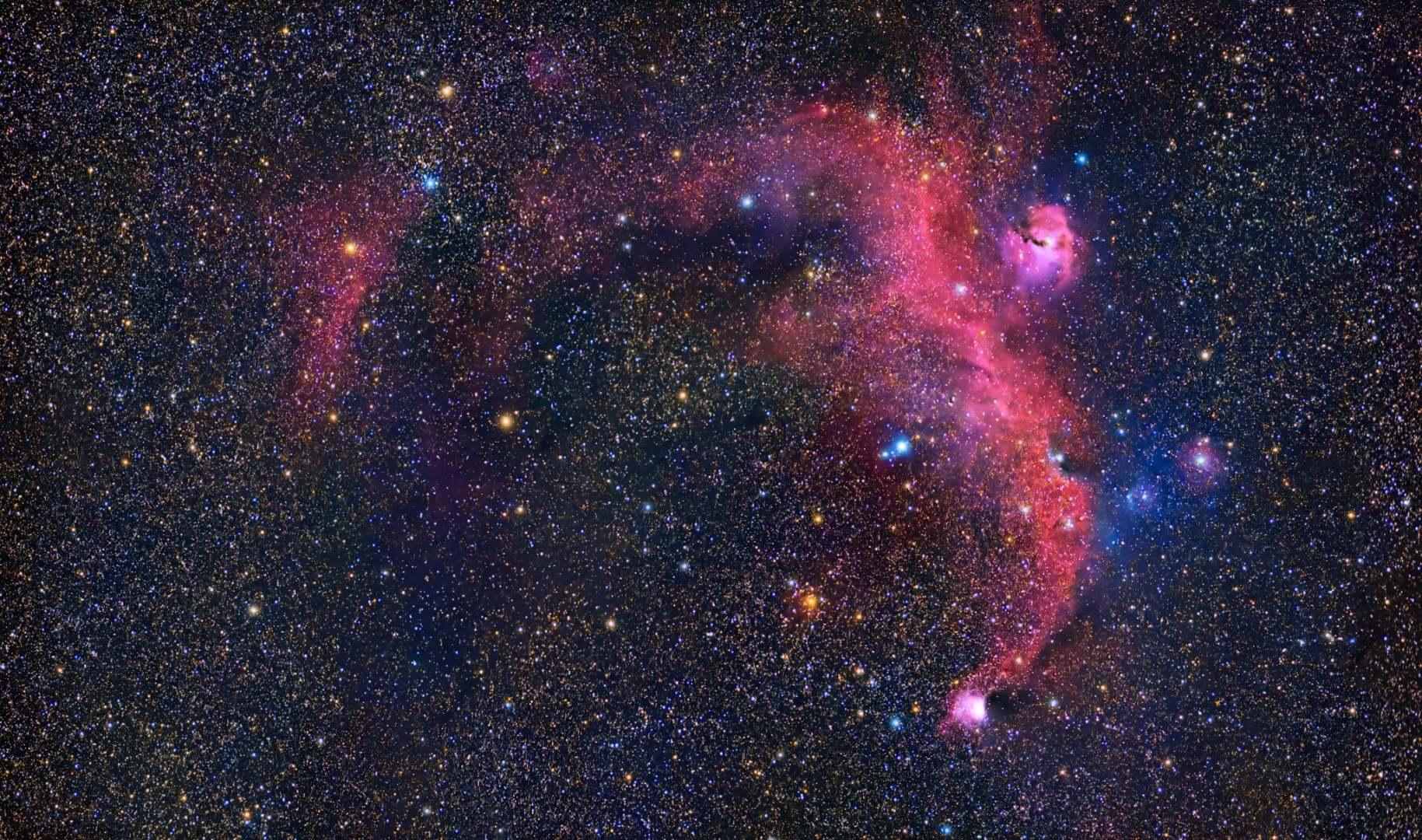 かもめ星雲 Hiroaki Waki 撮影