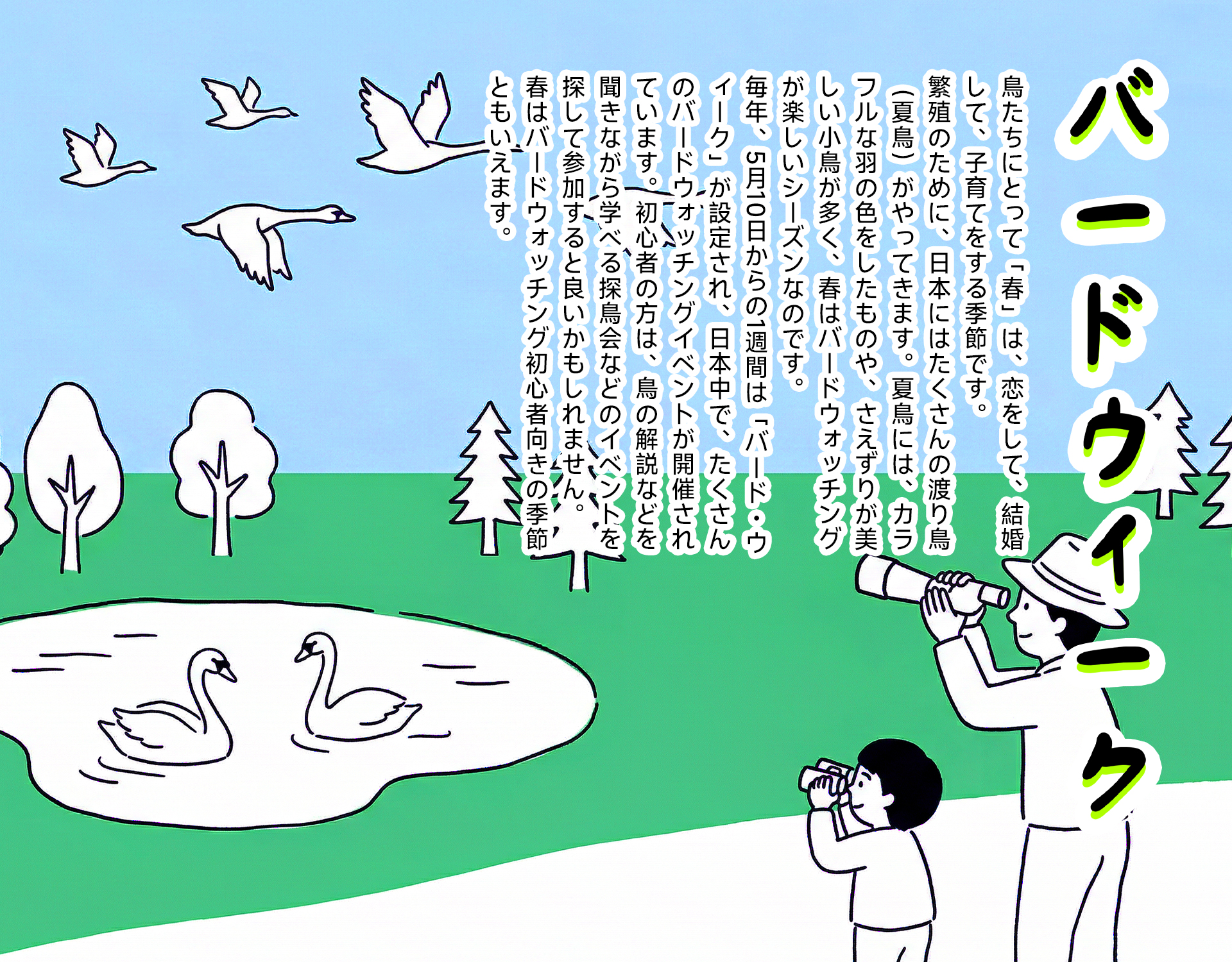 バードウイーク2