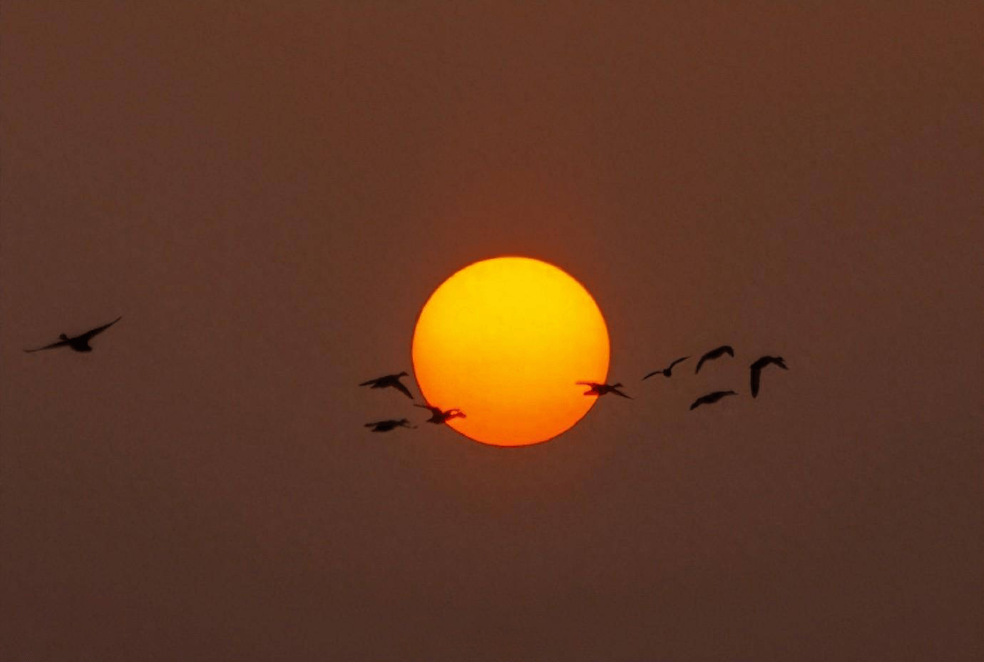夏の夕焼け空