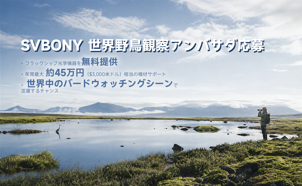 SVBONY 世界野鳥観察アンバサダ応募のご紹介