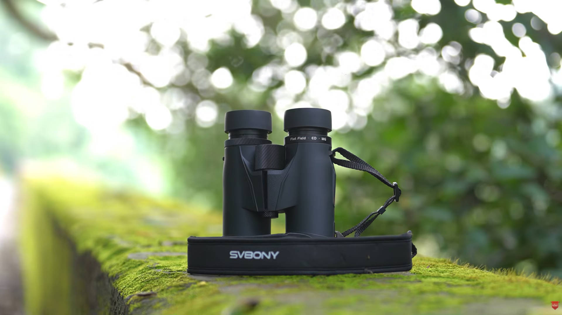 野外フィールドでのSVBONY SA207 PRO 8x42 APO双眼鏡実機レビュー風景