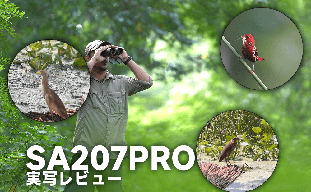 プロが検証！SVBONY SA207 PRO 8x42 APO双眼鏡レビュー｜野鳥観察の常識を変えるクリアな視界