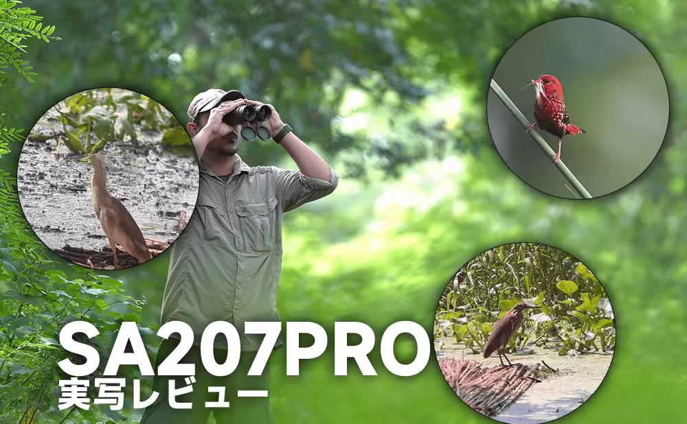 プロが検証！SVBONY SA207 PRO 8x42 APO双眼鏡レビュー｜野鳥観察の常識を変えるクリアな視界